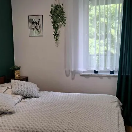 310 Appartamento